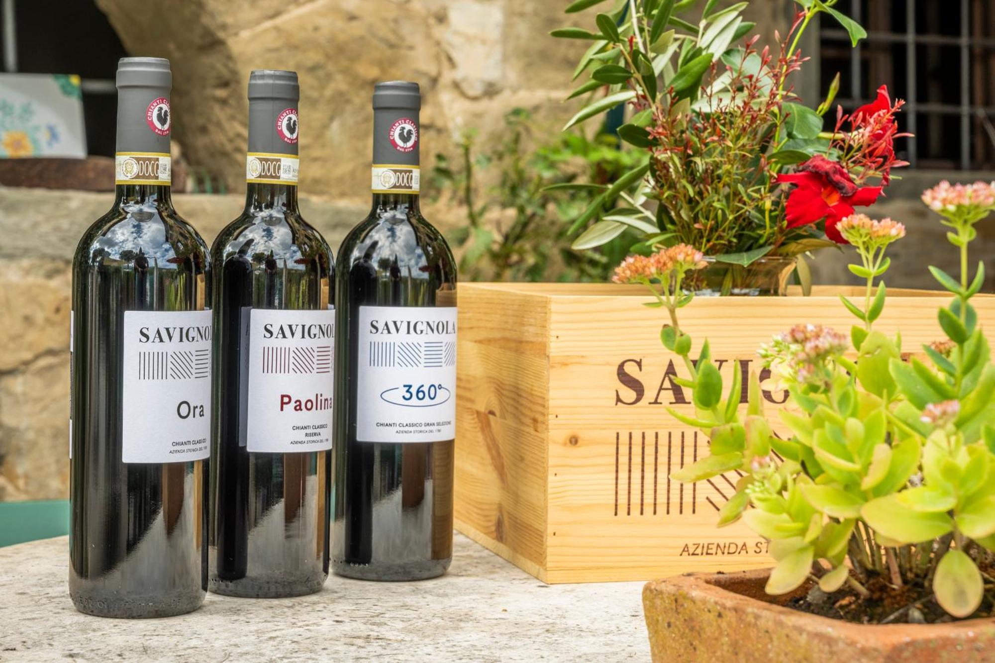 Savignola Paolina Villa Greve in Chianti Exteriör bild