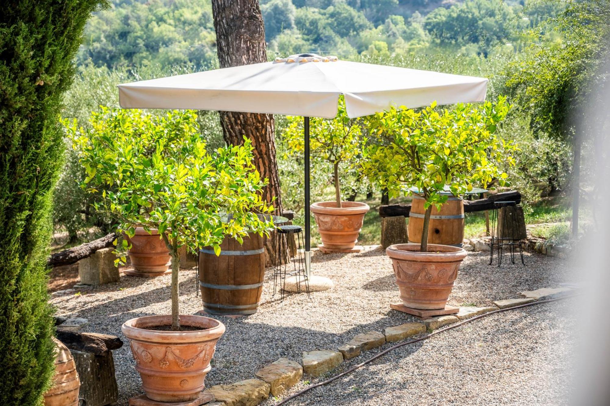 Savignola Paolina Villa Greve in Chianti Exteriör bild